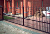 Wrought Iron Gate 15